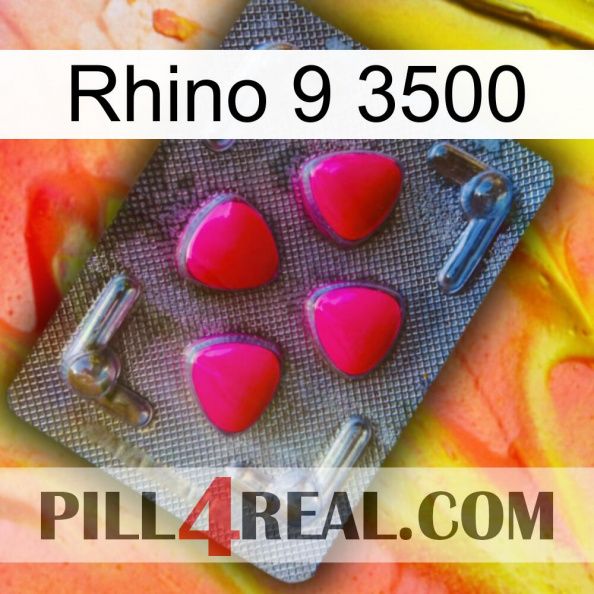 Rhino 9 3500 13.jpg